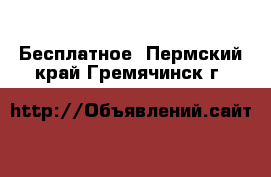  Бесплатное. Пермский край,Гремячинск г.